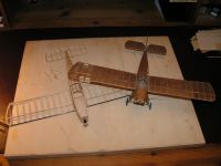 Moustique PICT7575-1024